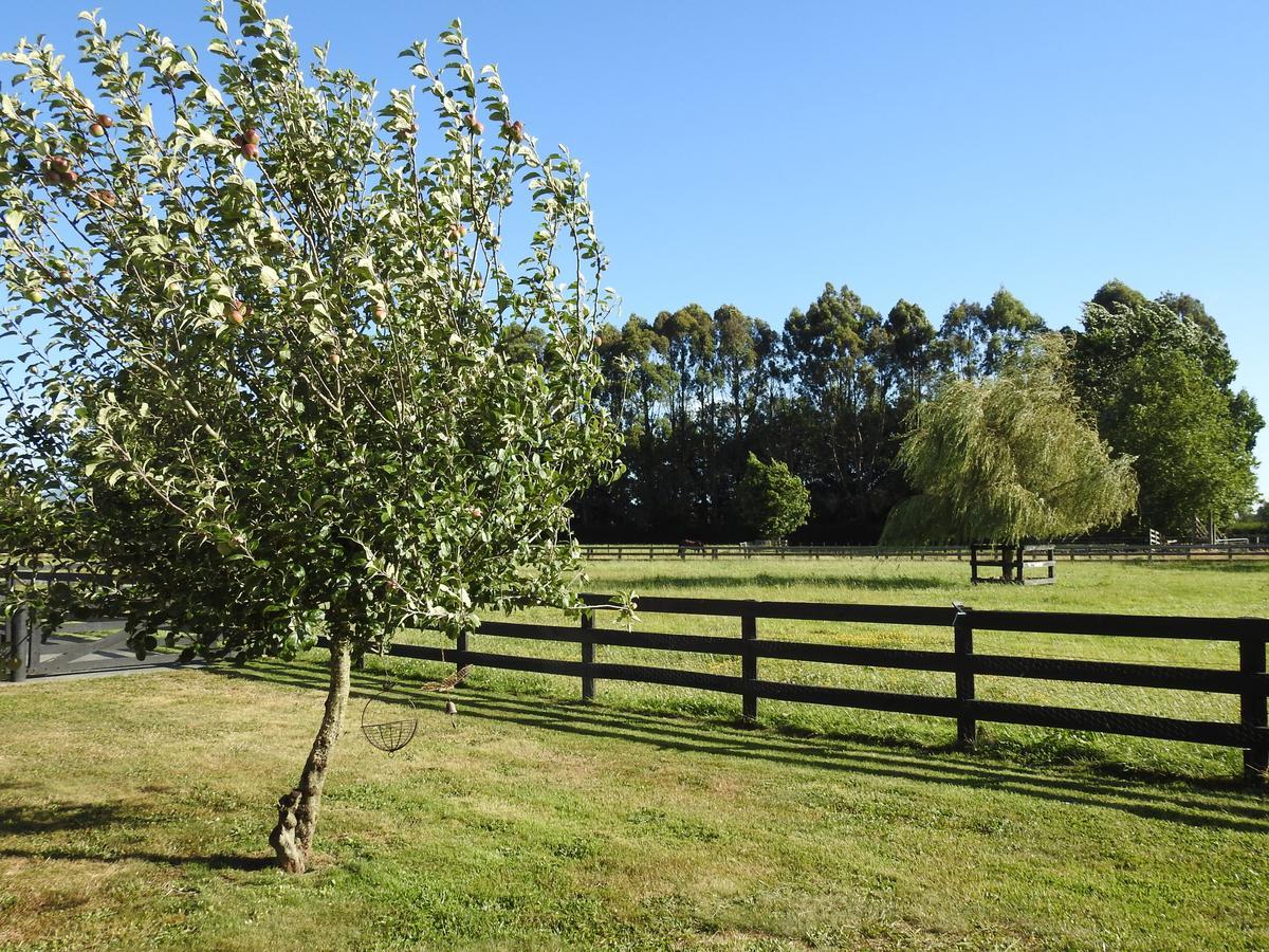 Grasslands Bed & Breakfast Cambridge Extérieur photo